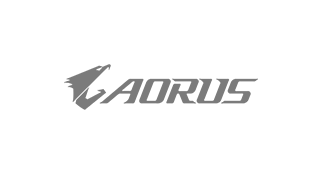 AORUS